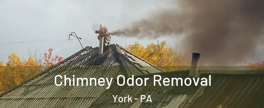  Chimney Odor Removal York - PA