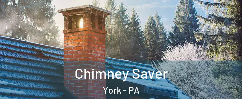  Chimney Saver York - PA