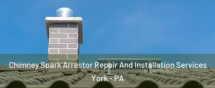  Chimney Spark Arrestor Repair And Installation Services York - PA