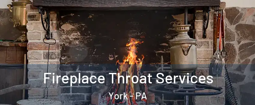  Fireplace Throat Services York - PA