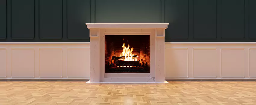 Napoleon Electric Fireplaces Inspection Service in York, Pennsylvania
