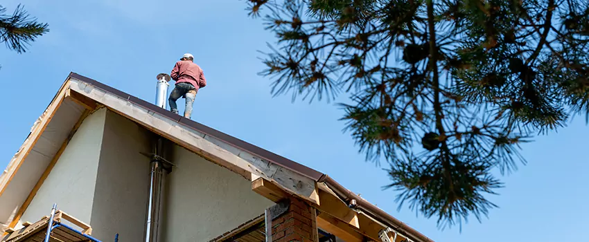 Birds Removal Contractors from Chimney in York, PA