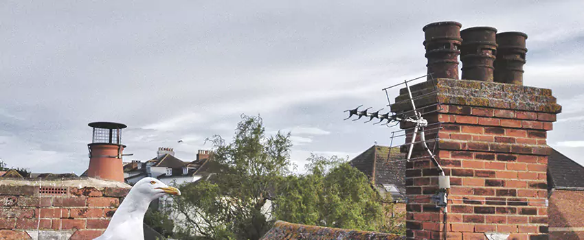 Chimney Cleaning And Restoration in York, Pennsylvania