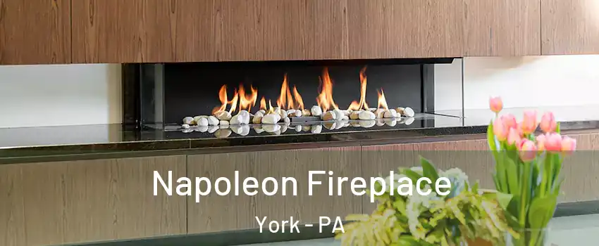  Napoleon Fireplace York - PA